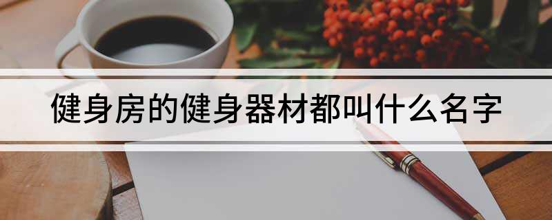 健身房的健身器材都叫什么名字(图1)